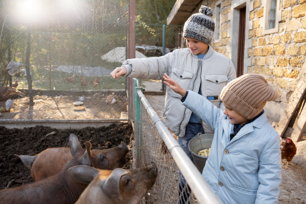 Building a Compassionate World: How Animal Shelters Create Positive Change in Communities